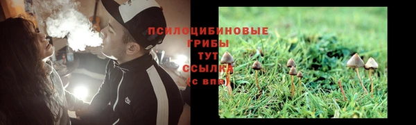 Альфа ПВП Беломорск