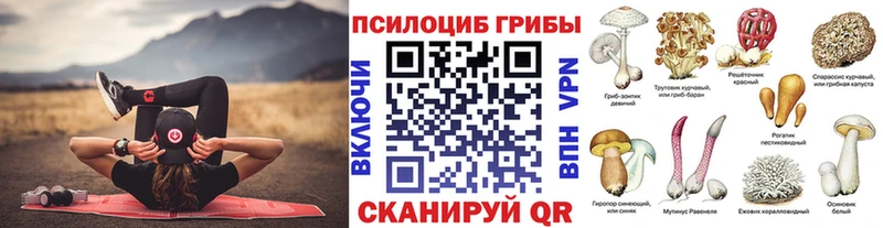 где купить наркоту Шимановск Галлюциногенные грибы Psilocybe